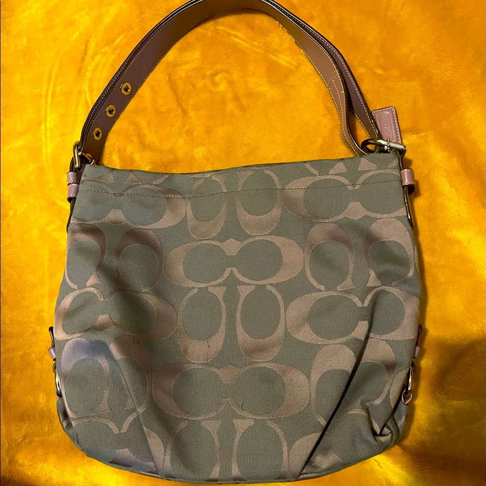 Gorgeous Coach Bag